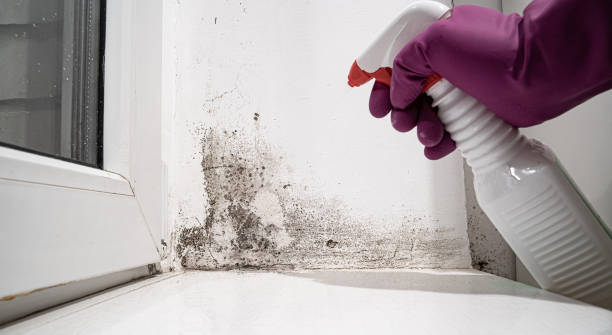 Best Water damage restoration cost  in USA